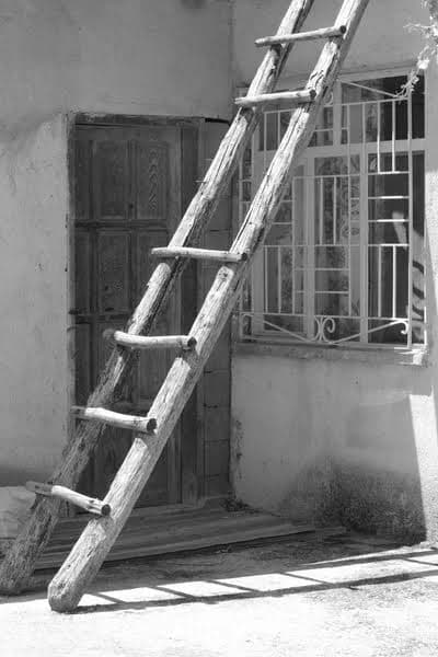 The Broken Career Ladder: What Happens When the Bottom Rung Disappears